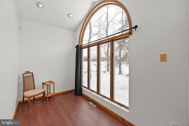 interior space featuring dark wood-type flooring, a wealth of natural light, and vaulted ceiling