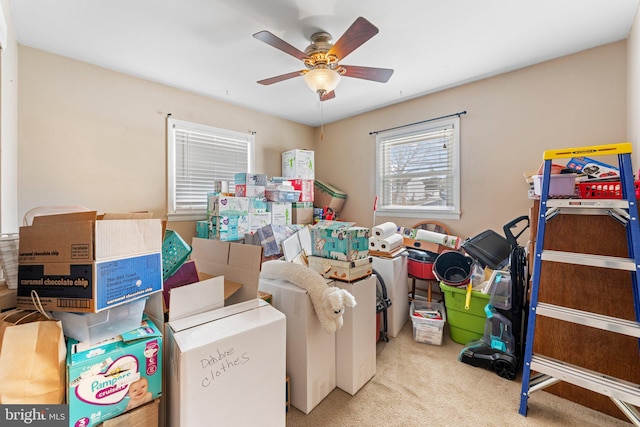 storage area with ceiling fan