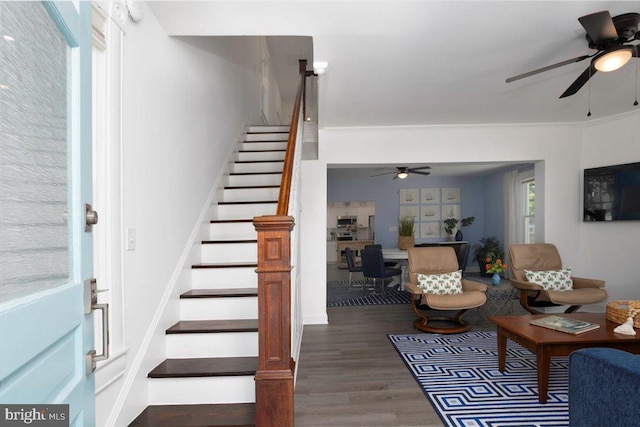 staircase with wood-type flooring and ceiling fan