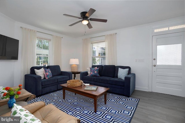 living room featuring ornamental molding, wood-type flooring, and ceiling fan