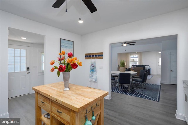 dining room featuring dark wood-type flooring