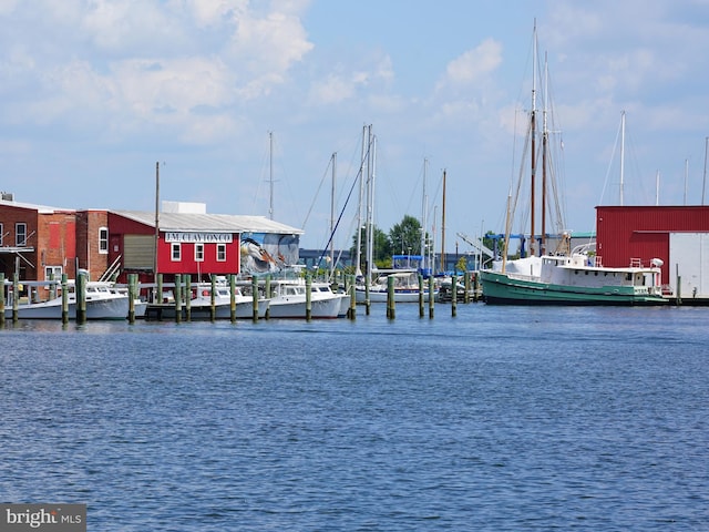 dock area with a water view