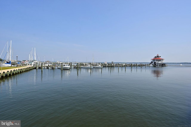 water view with a dock