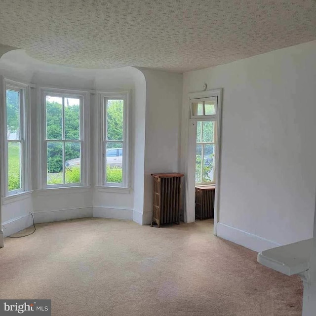 carpeted empty room featuring a textured ceiling