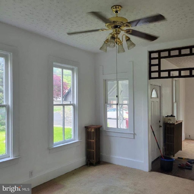 empty room featuring a textured ceiling, carpet floors, and a healthy amount of sunlight