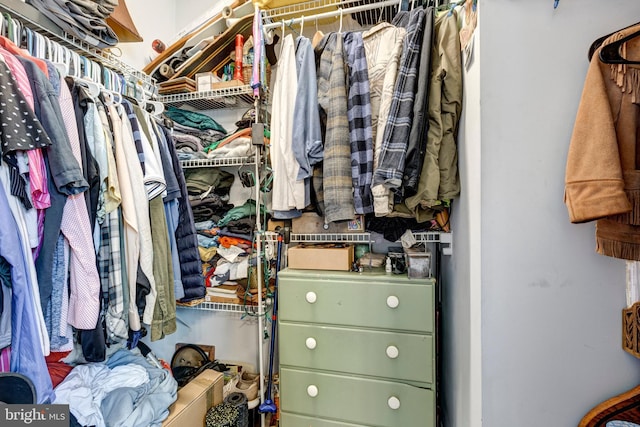 view of spacious closet