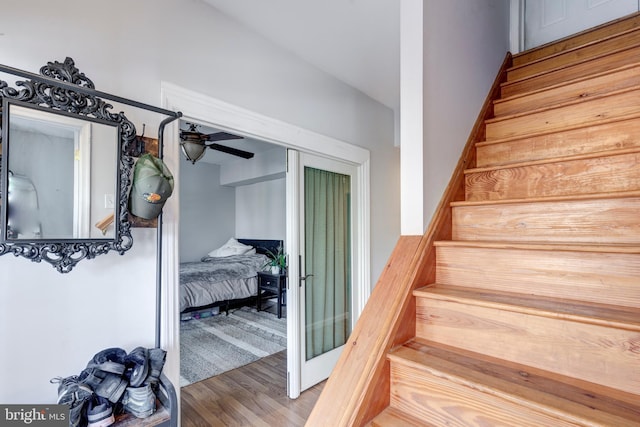 stairway featuring wood-type flooring and ceiling fan