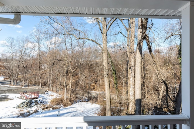 view of yard covered in snow