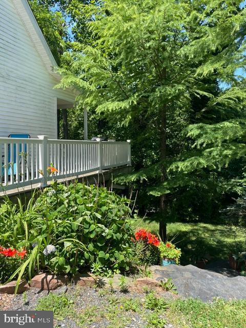 view of yard with a deck