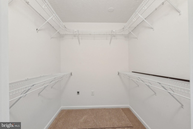 spacious closet with carpet