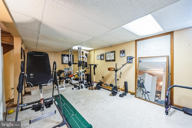 exercise room featuring a drop ceiling and carpet