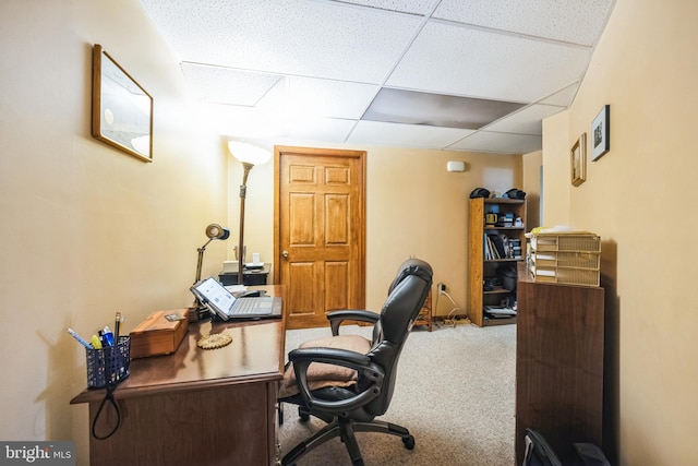 carpeted office space featuring a paneled ceiling