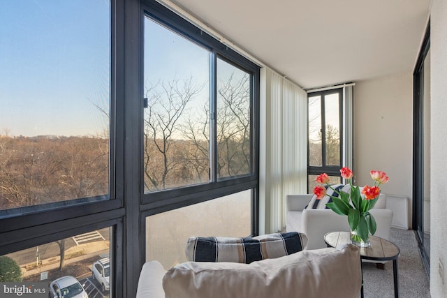 view of sunroom