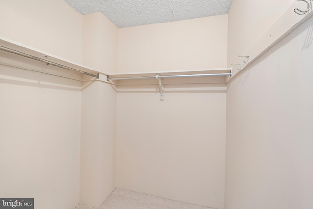 walk in closet with carpet