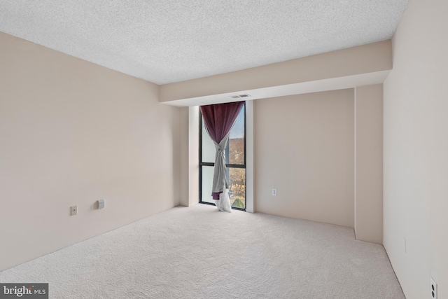 unfurnished room featuring light colored carpet and a textured ceiling