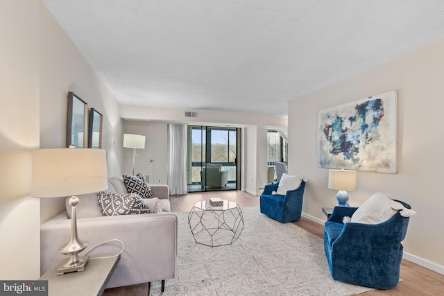 living room with hardwood / wood-style floors and a textured ceiling