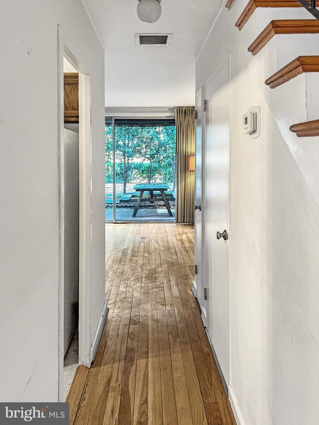 corridor with wood-type flooring and floor to ceiling windows