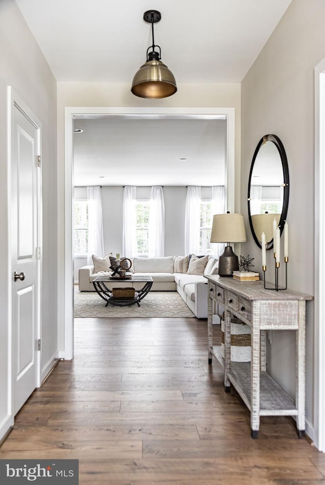 living room featuring dark hardwood / wood-style floors