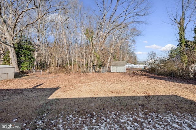 view of yard with a storage unit