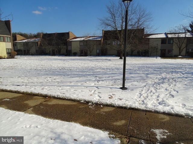 view of yard layered in snow