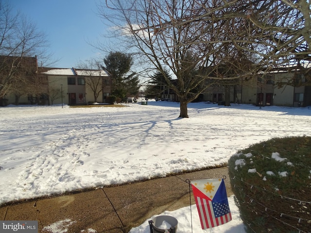 view of snowy yard