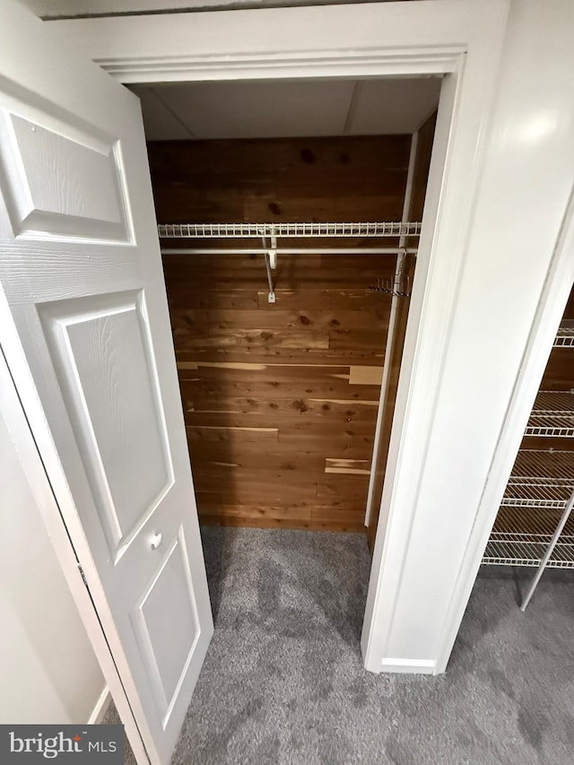 view of closet