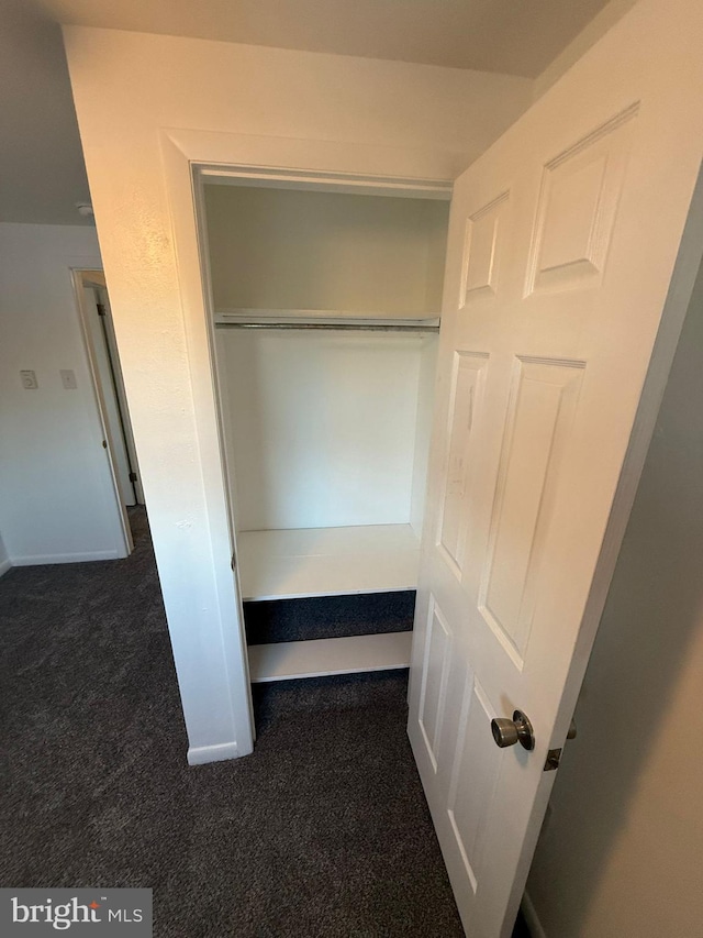 view of closet