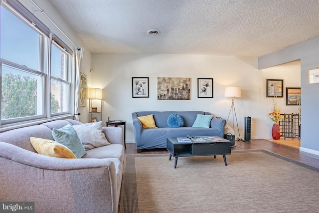 living room featuring hardwood / wood-style floors and a textured ceiling