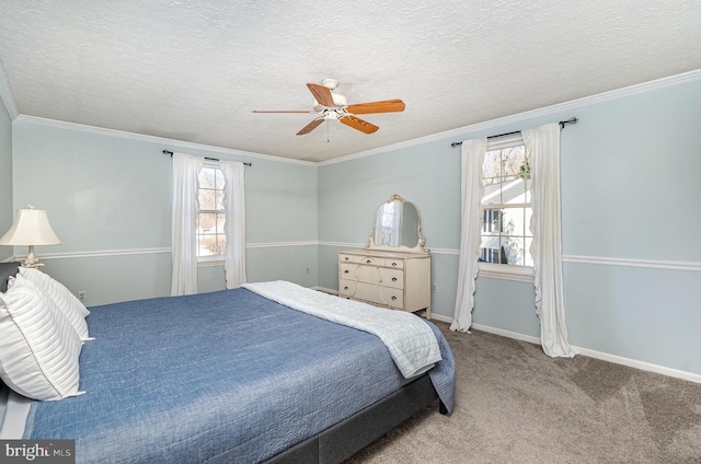 carpeted bedroom with multiple windows, crown molding, and a textured ceiling