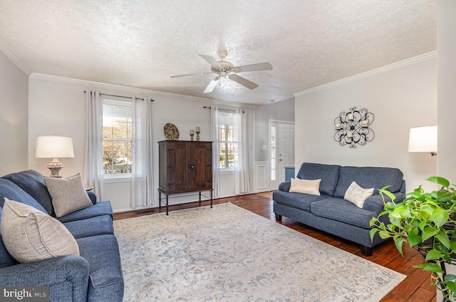 living room with crown molding, a wealth of natural light, and dark wood-type flooring