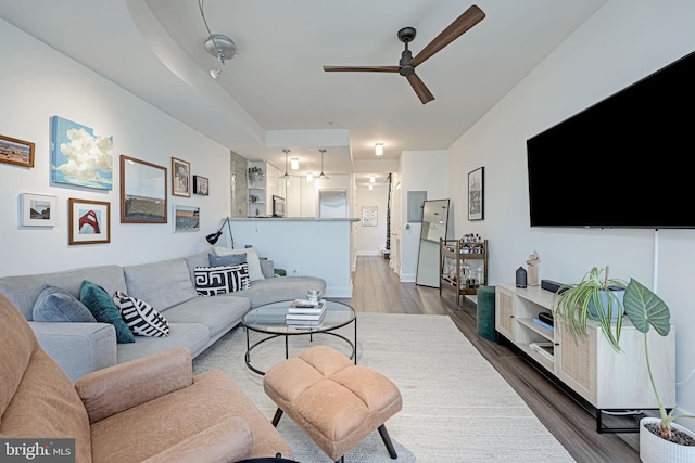 living room with hardwood / wood-style floors, ceiling fan, and a tray ceiling