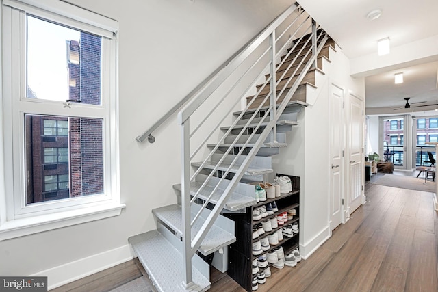 staircase featuring ceiling fan and hardwood / wood-style floors