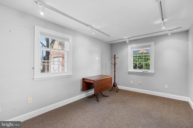 spare room featuring carpet, rail lighting, and baseboards