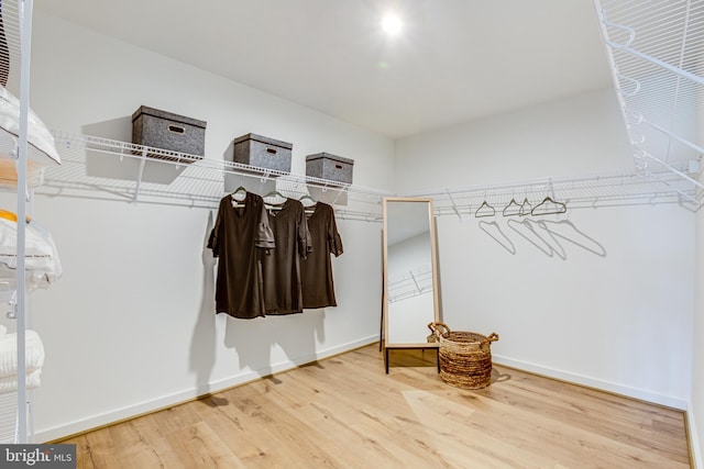 walk in closet featuring wood-type flooring