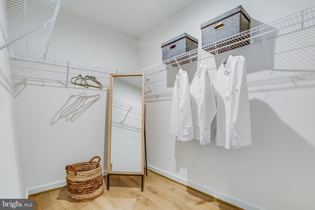 spacious closet featuring hardwood / wood-style floors