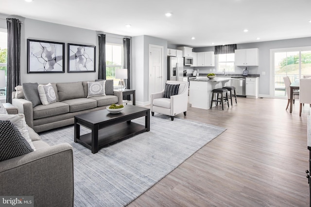 living room with sink and light hardwood / wood-style floors