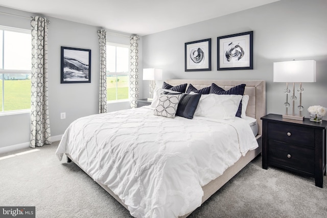 carpeted bedroom featuring multiple windows