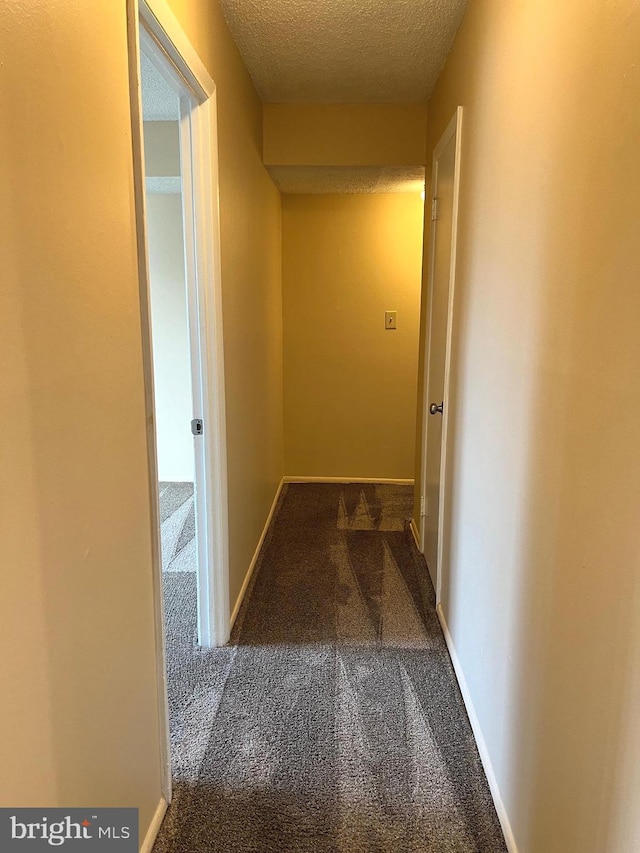 hallway with carpet flooring and a textured ceiling