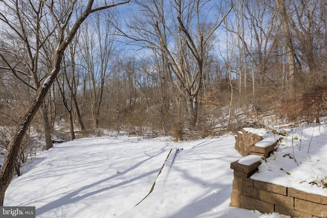 view of snowy yard