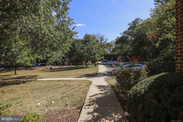 view of property's community with a yard