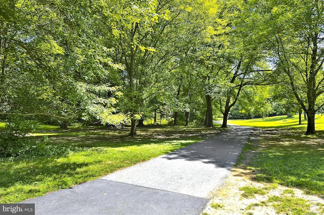 view of home's community featuring a lawn