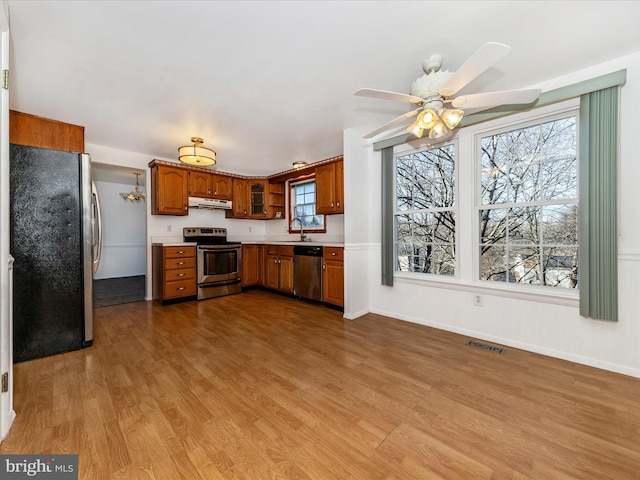 kitchen featuring a healthy amount of sunlight, appliances with stainless steel finishes, sink, and light hardwood / wood-style floors