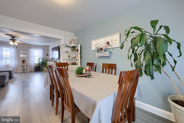 dining area with hardwood / wood-style floors and ceiling fan