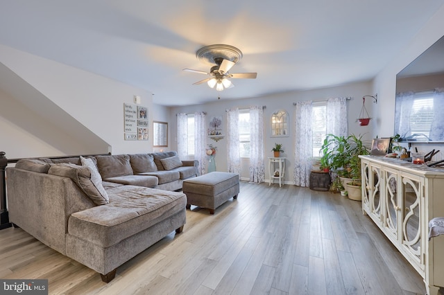 living room with ceiling fan and light wood-type flooring