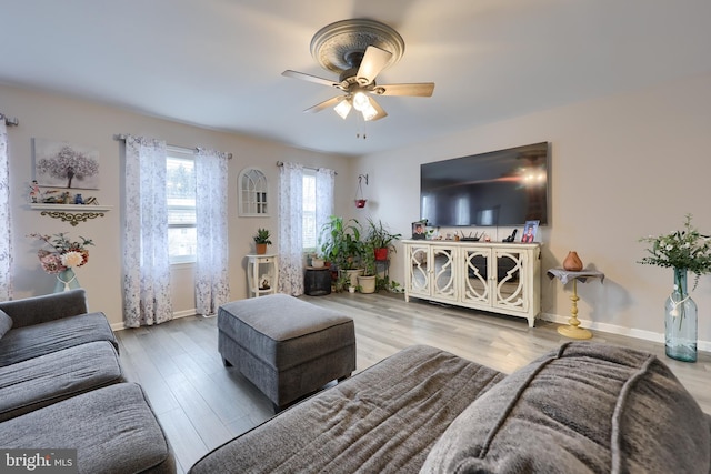 living room with hardwood / wood-style floors and ceiling fan