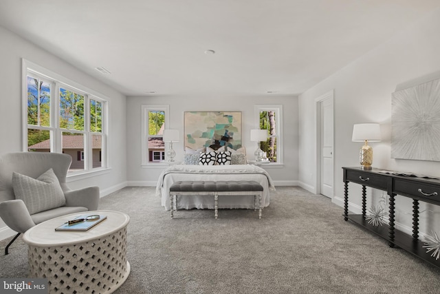 bedroom with baseboards and carpet flooring