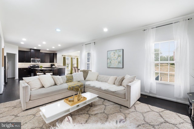 living room with dark hardwood / wood-style flooring