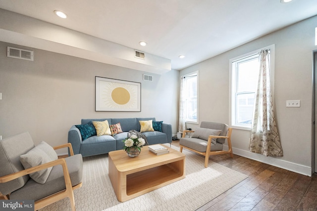 living room with hardwood / wood-style flooring