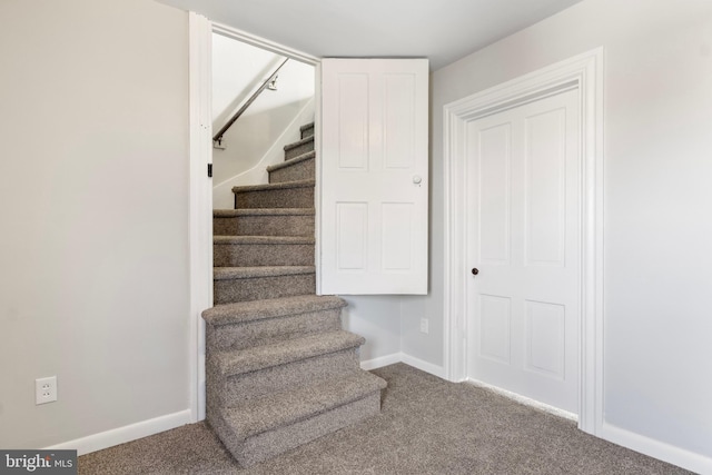 stairs featuring carpet