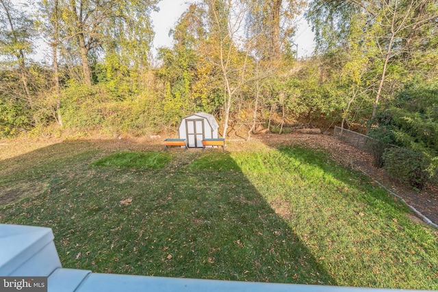 view of yard with a storage unit